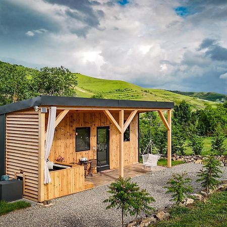 Villa Kubiq Transalpina à Petresti Extérieur photo